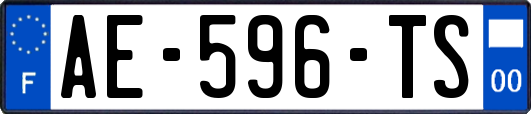 AE-596-TS