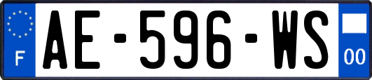 AE-596-WS