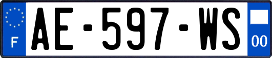 AE-597-WS