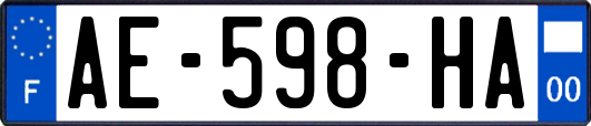 AE-598-HA