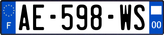 AE-598-WS