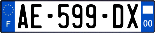 AE-599-DX
