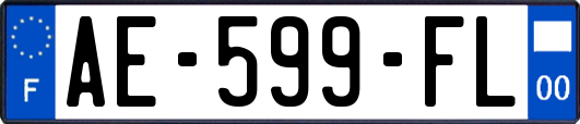 AE-599-FL
