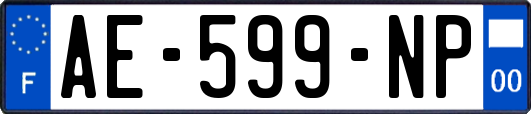 AE-599-NP