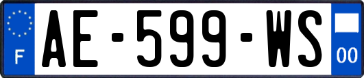 AE-599-WS
