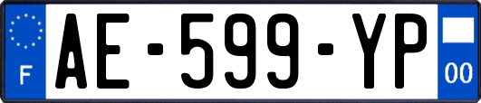 AE-599-YP