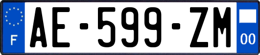 AE-599-ZM