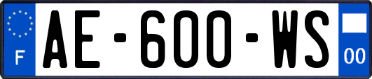 AE-600-WS