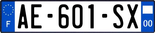 AE-601-SX