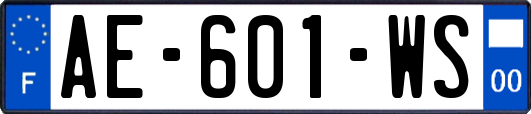 AE-601-WS