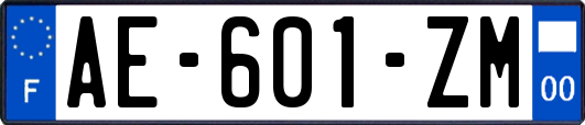 AE-601-ZM