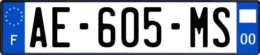 AE-605-MS