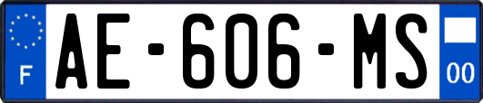 AE-606-MS