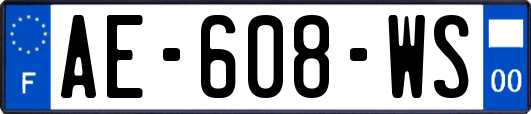 AE-608-WS