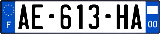 AE-613-HA
