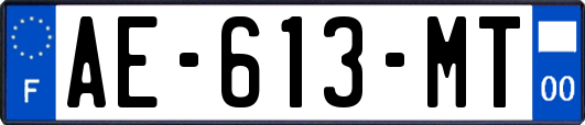 AE-613-MT