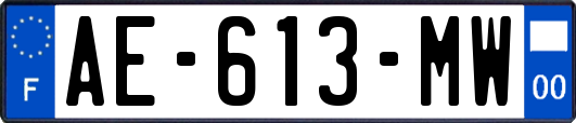 AE-613-MW
