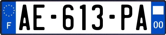 AE-613-PA