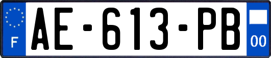 AE-613-PB