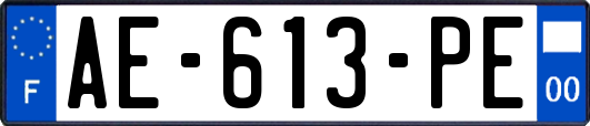 AE-613-PE