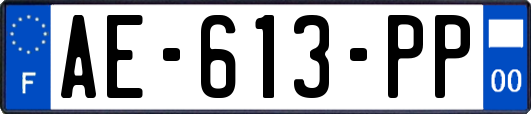 AE-613-PP