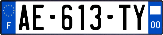 AE-613-TY