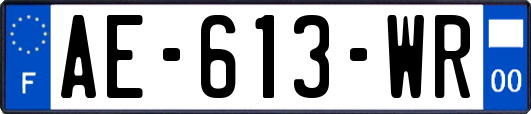 AE-613-WR
