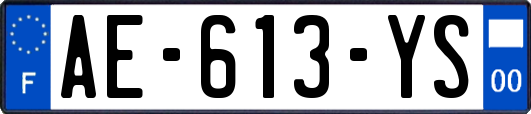 AE-613-YS