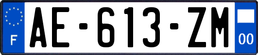 AE-613-ZM