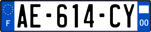 AE-614-CY