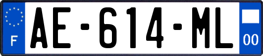 AE-614-ML