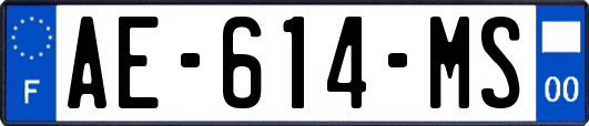 AE-614-MS