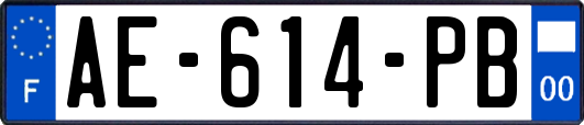 AE-614-PB