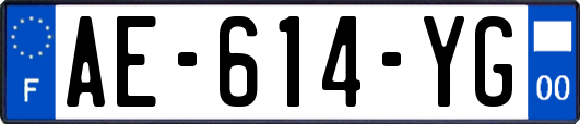 AE-614-YG