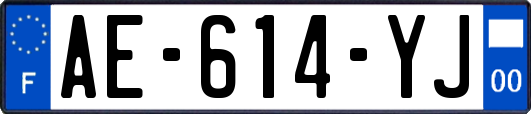 AE-614-YJ