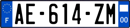 AE-614-ZM