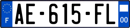 AE-615-FL