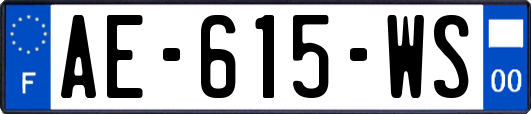 AE-615-WS