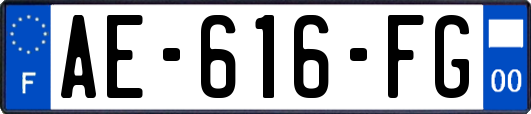 AE-616-FG