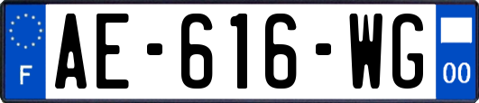 AE-616-WG