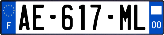AE-617-ML