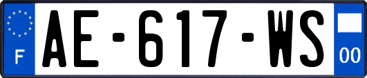 AE-617-WS