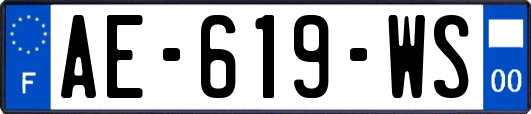 AE-619-WS