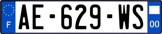 AE-629-WS