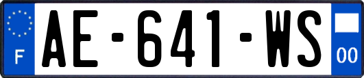 AE-641-WS