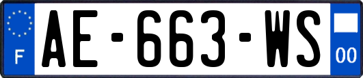 AE-663-WS