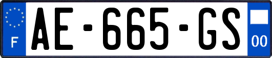 AE-665-GS