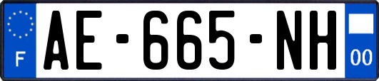AE-665-NH