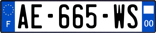 AE-665-WS