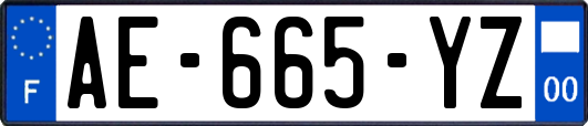 AE-665-YZ